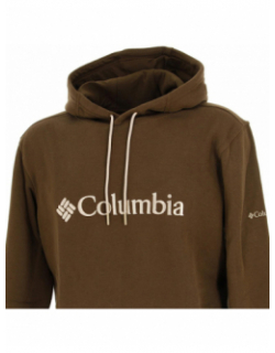 Sweat à capuche basic logo kaki homme - Columbia